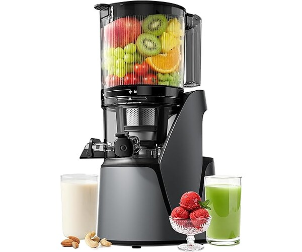 EanOruus 3-in-1 Cold Press Juicer, Premium Gray