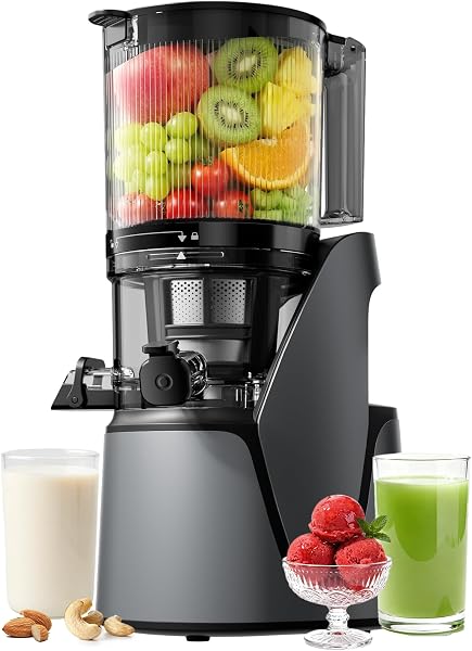 EanOruus 3-in-1 Cold Press Juicer