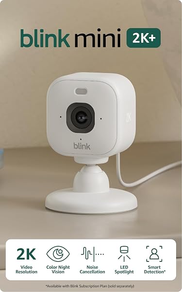 Blink Mini 2K+